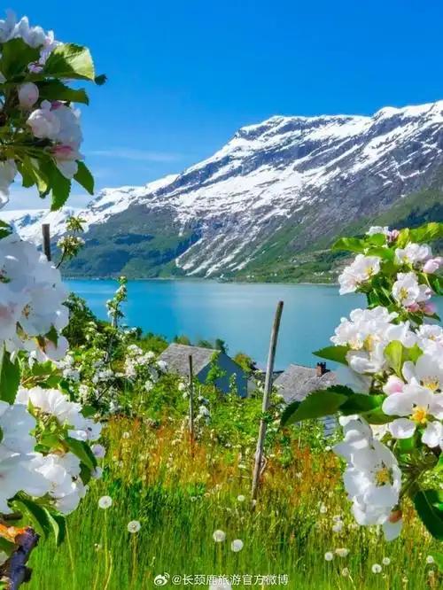 父母与子女相处的黄金法则：不控制、不讨好、不越界、懂感恩，彼此成就，各自安