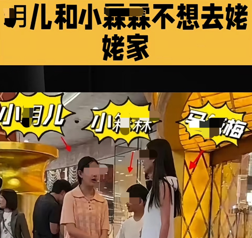也是挺奇怪的哈，大S打小就带着两个孩子住在台湾的娘家，妈妈离世之后，这两个孩子竟