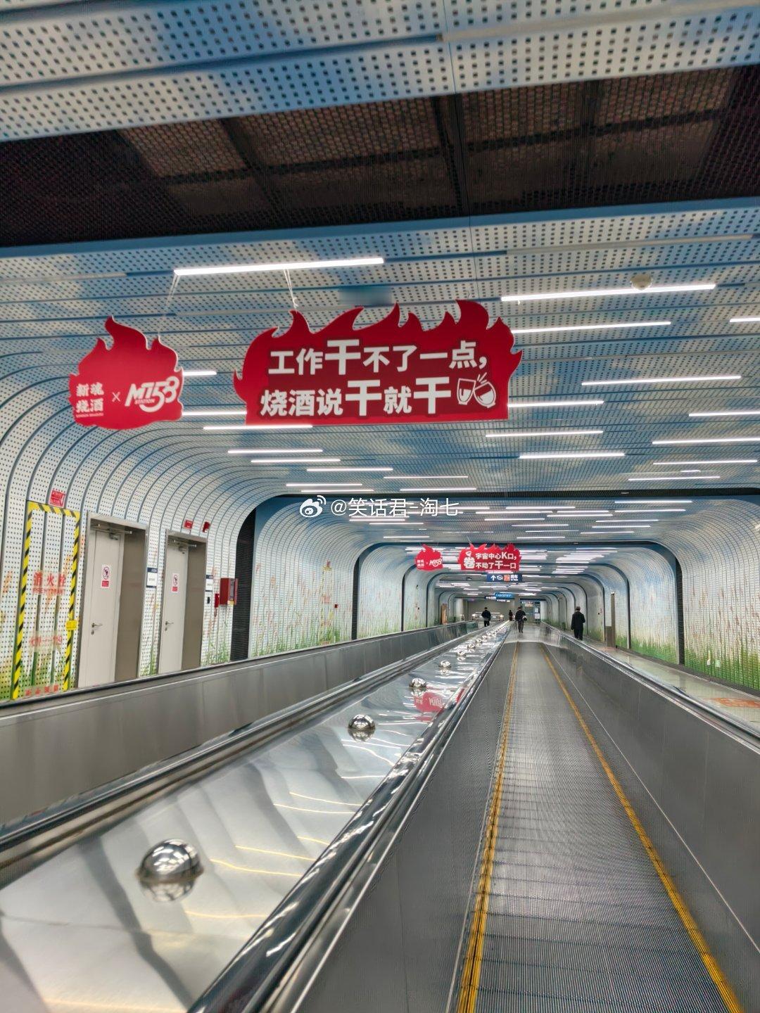 有一天，一只北极熊觉得家里太冷了，于是它决定把毛拔掉。等它拔完毛后，打了个哆嗦说