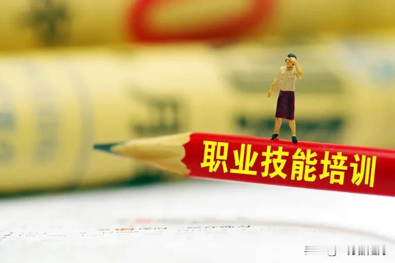 双一流本科毕业三年后却进入技校学技术27岁女孩曹蕊双一流毕业考研未上岸，选