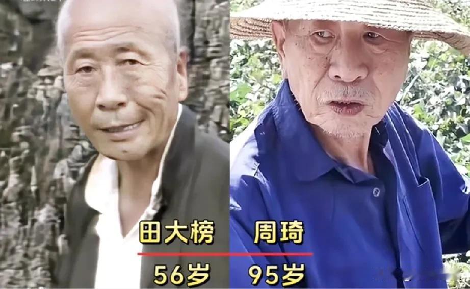 1986年电视剧《乌龙山剿匪记》演员今昔变化！