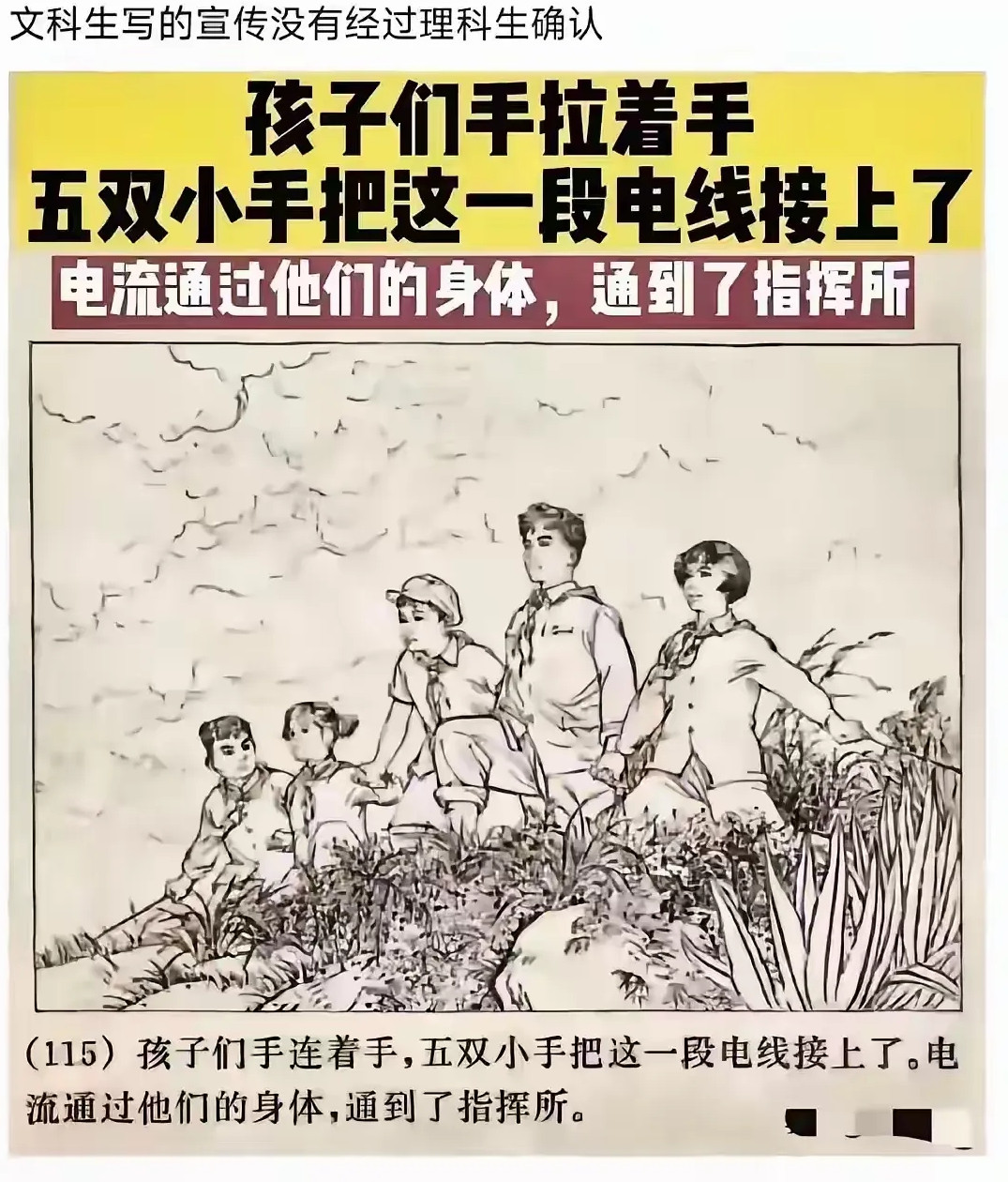 这是勇敢的五小只