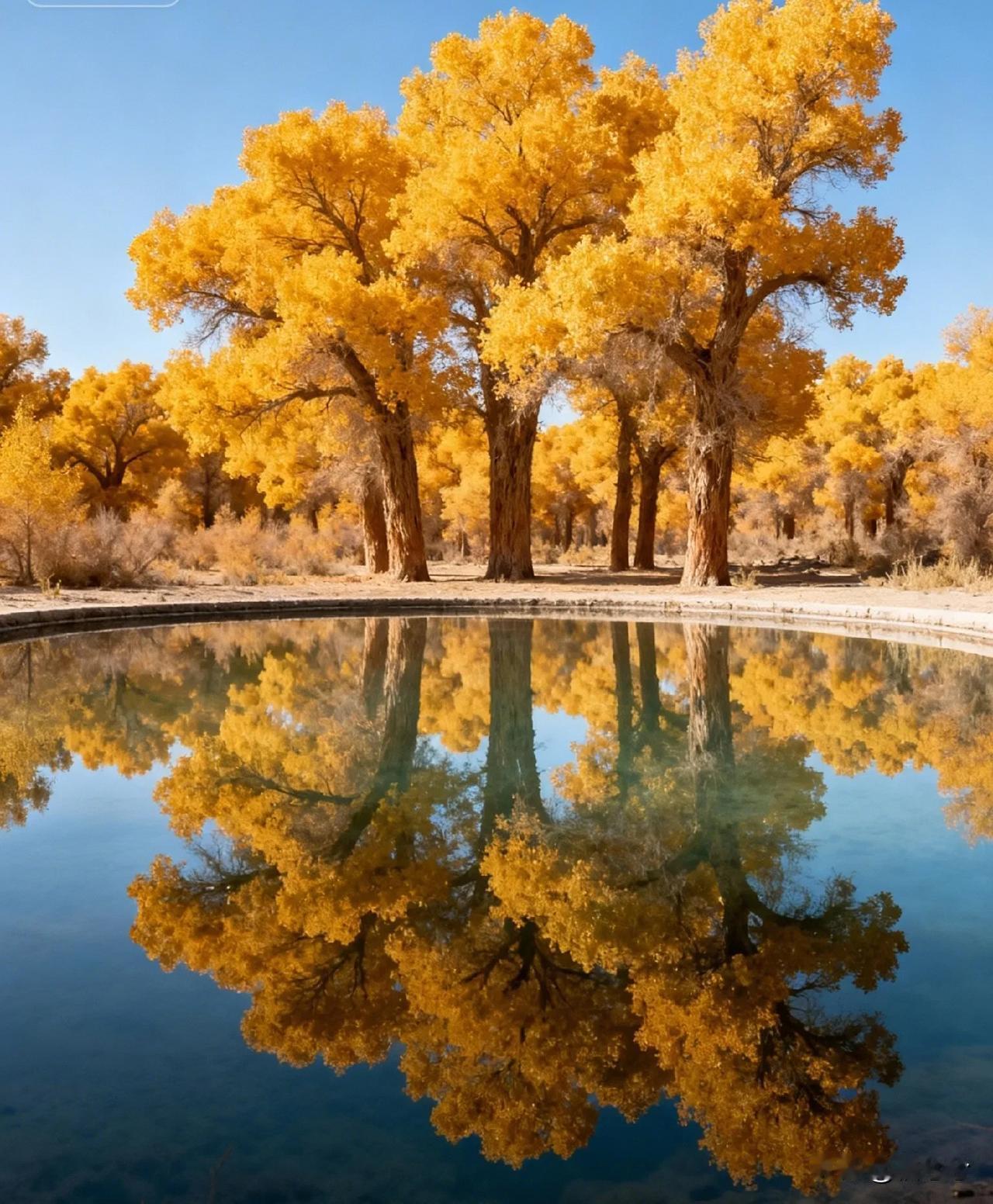 看到108岁老人分享长寿秘诀，我才发现咱们吃饭都吃错了！长寿的人，吃饭都有这3个