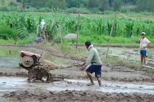 假如说，我说假如啊，就是说如果把农村的低保、五保户补贴还有农业补贴都整合了，不管