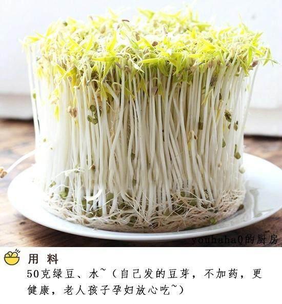 幼儿园作业——生豆芽 感谢老师让我学会了生豆芽