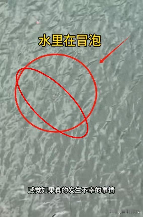 福建8岁男孩失踪13天了。今天有个新发现，搜救犬在水库边有反应。有个广东来的志