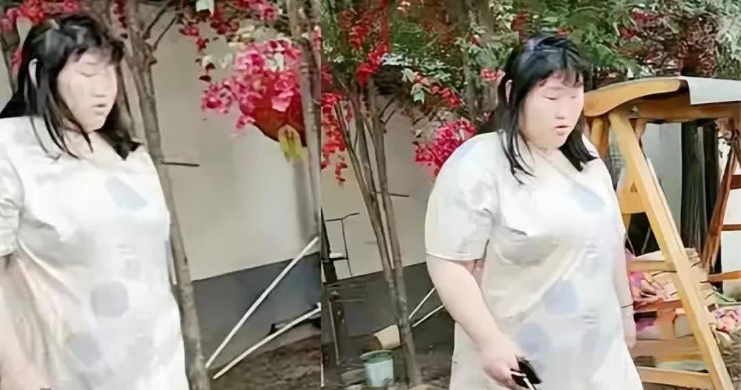 我把朱之文女儿朱雪梅和李湘还有刘欢归到一起，胖胖胖。瘦了各有各的美，胖了就一种胖