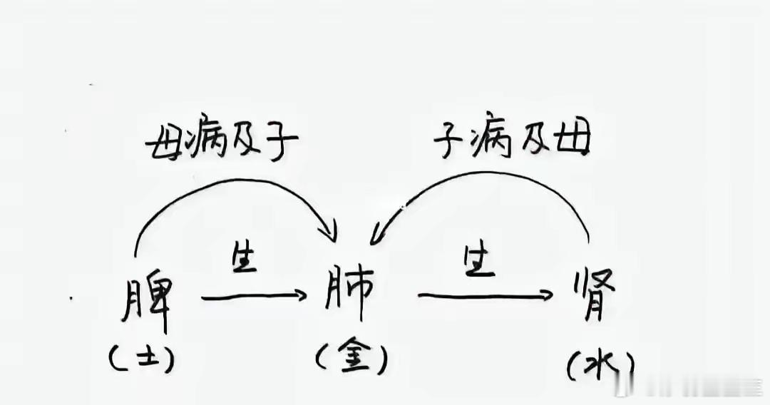 中医治病的奥秘——虚则补其母‘虚则补其母’说白了就是不管哪个脏腑虚了，补本脏没有