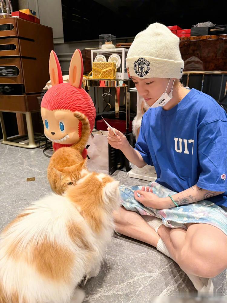 我有预感，鹿晗以后很难结婚了。不是说忘不了关晓彤，而是你看他这两天营业完全就是这