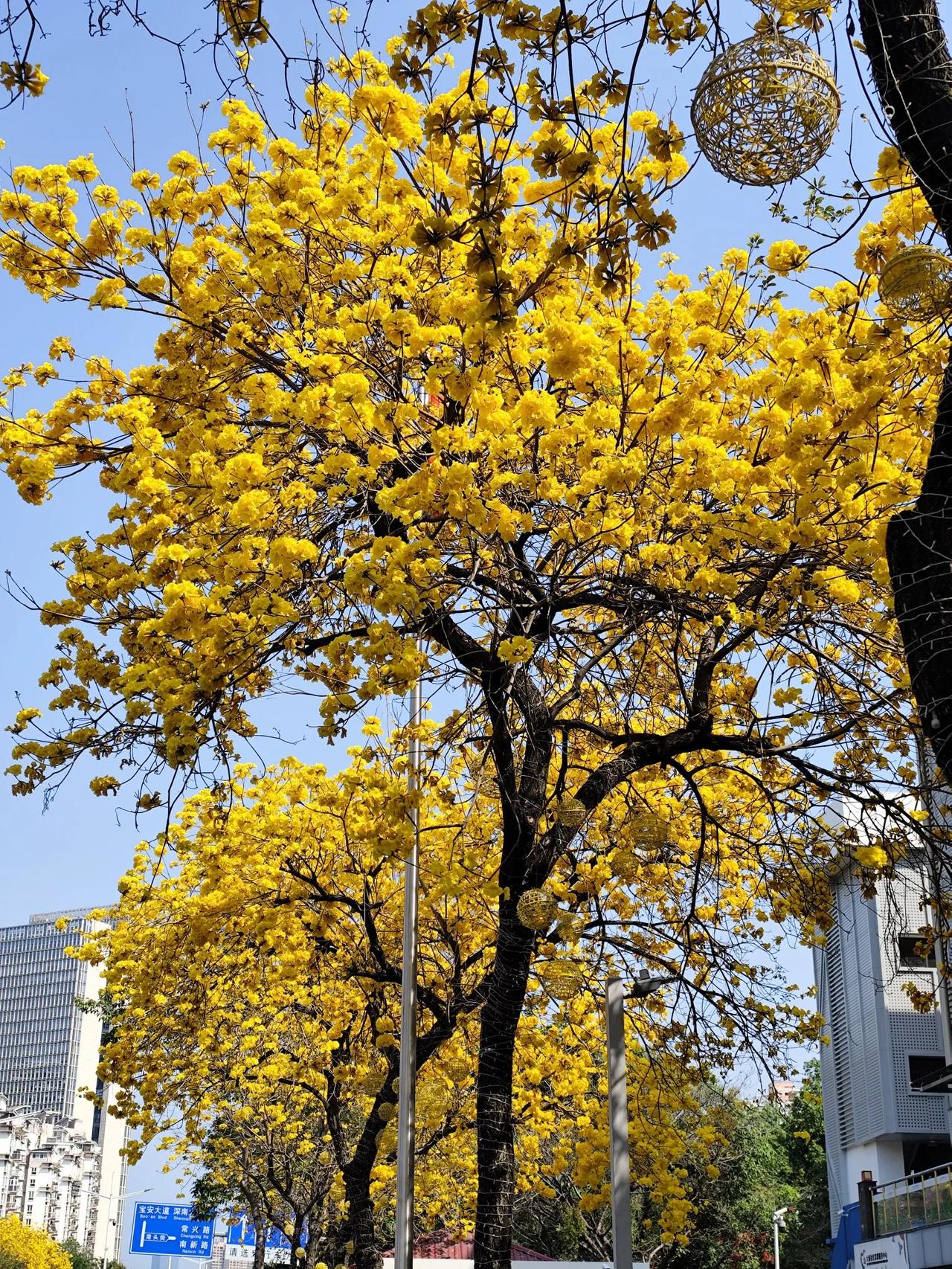 最近海尔周云杰跟着雷军走红，这个人其实挺有意思，我听他同事说过他一个小故事，他大