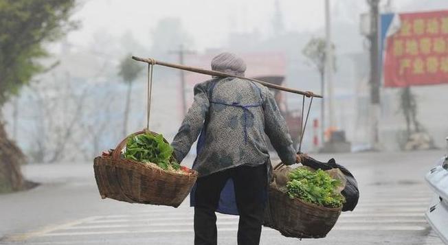 “浑身是嘴都说不清了！”浙江73岁老太在小区卖玉米不慎跌倒，围观人群却不敢救。危
