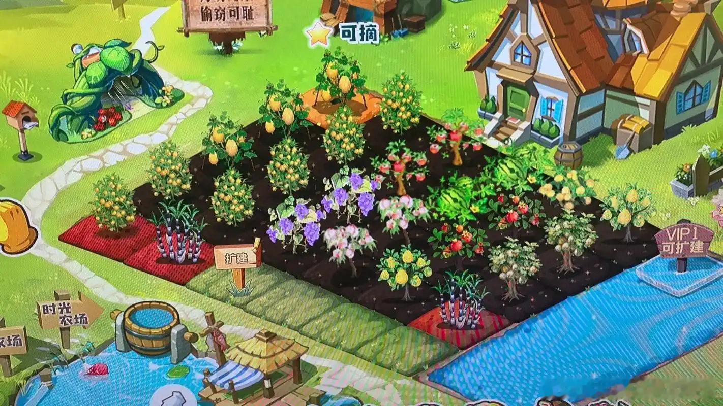 【马化腾透露QQ农场将回归】1月26日，腾讯公司董事会主席兼首席执行官马化腾在2