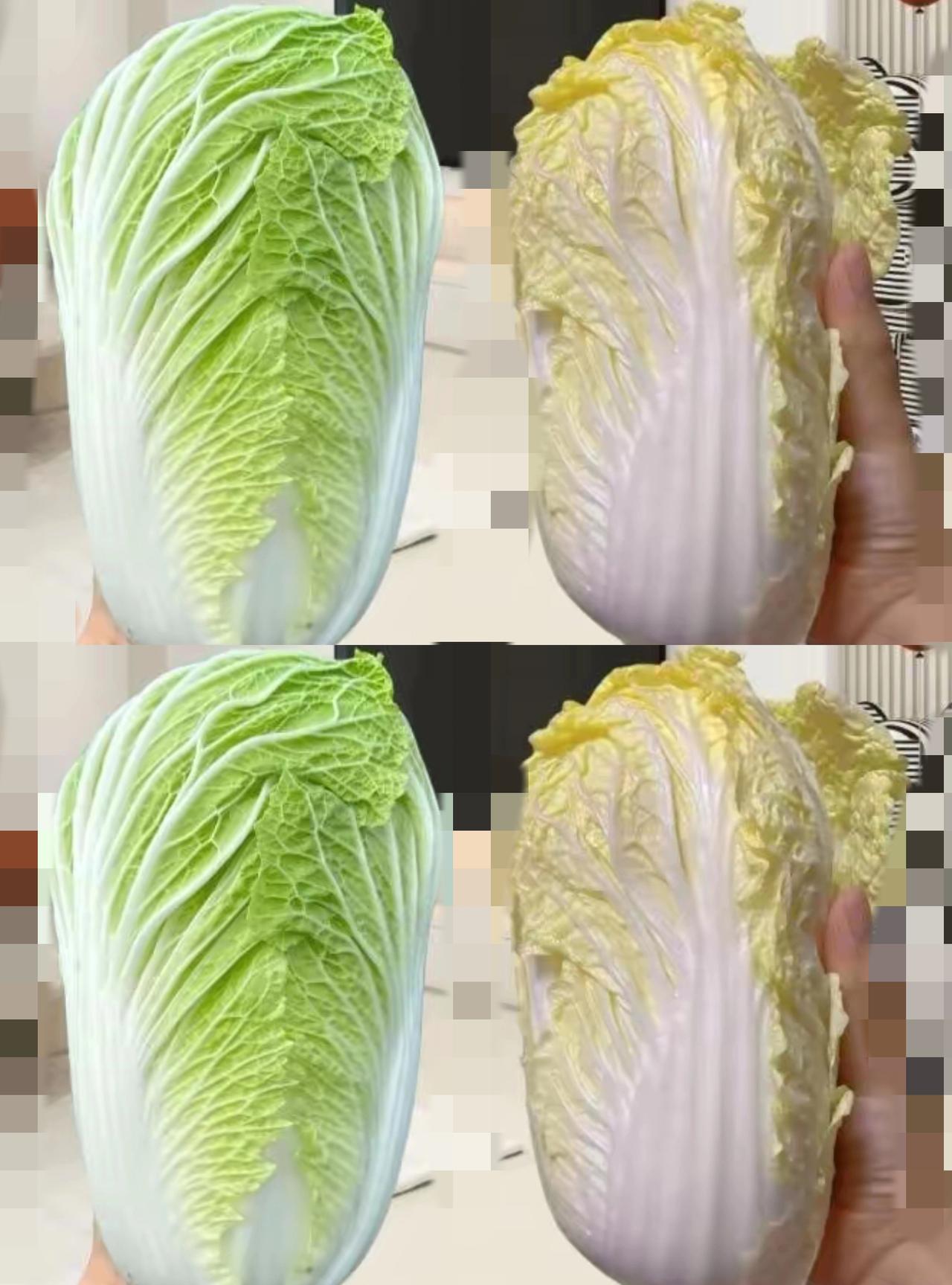 买白菜还在瞎选？黄心绿心差太多，选错口感差一半！别再觉得两种