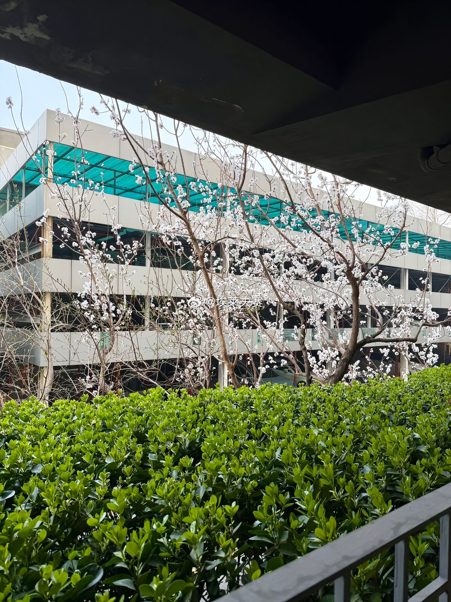 北京国安北京国安何宇鹏更新社交媒体：“花开的时候再会”