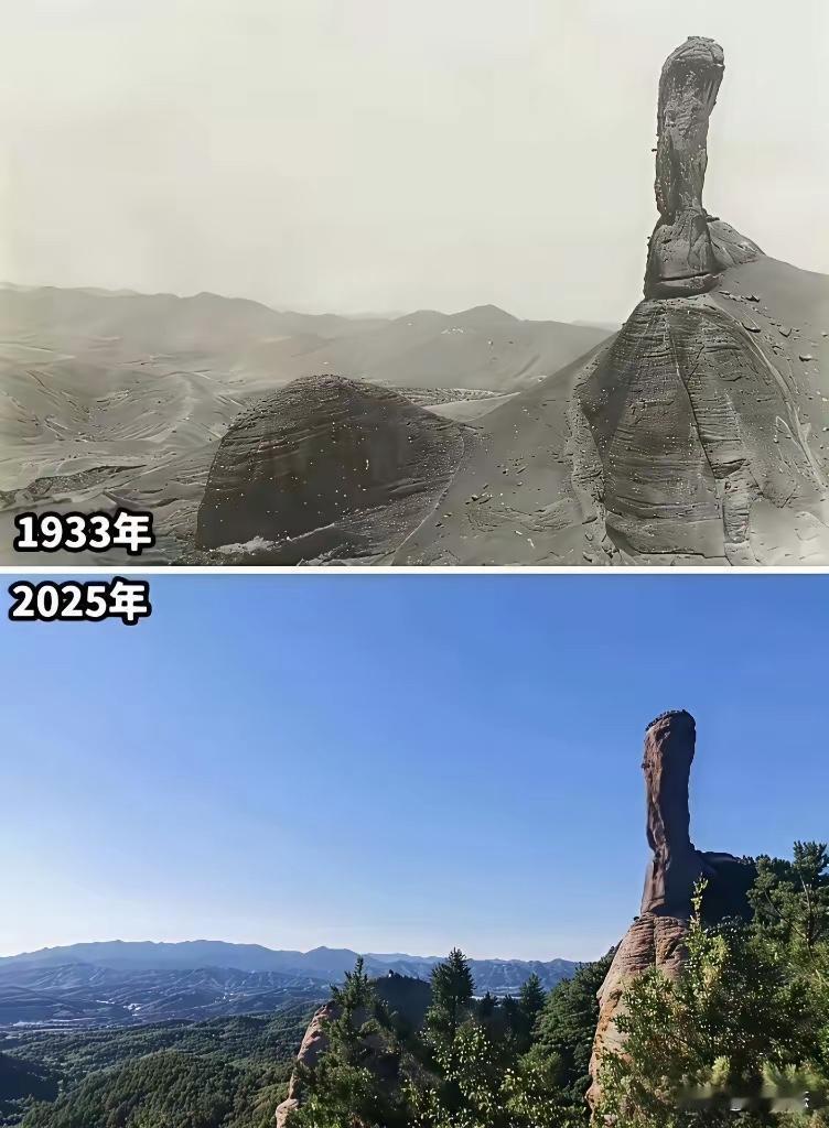 为什么以前山顶都是光秃秃的，现在一片绿意盎然？我们八零前后的小地方人应该都