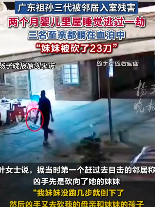 一家三口被杀，婴儿睡觉侥幸存活。凶手是精神病，限定刑事责任能力。2025年3