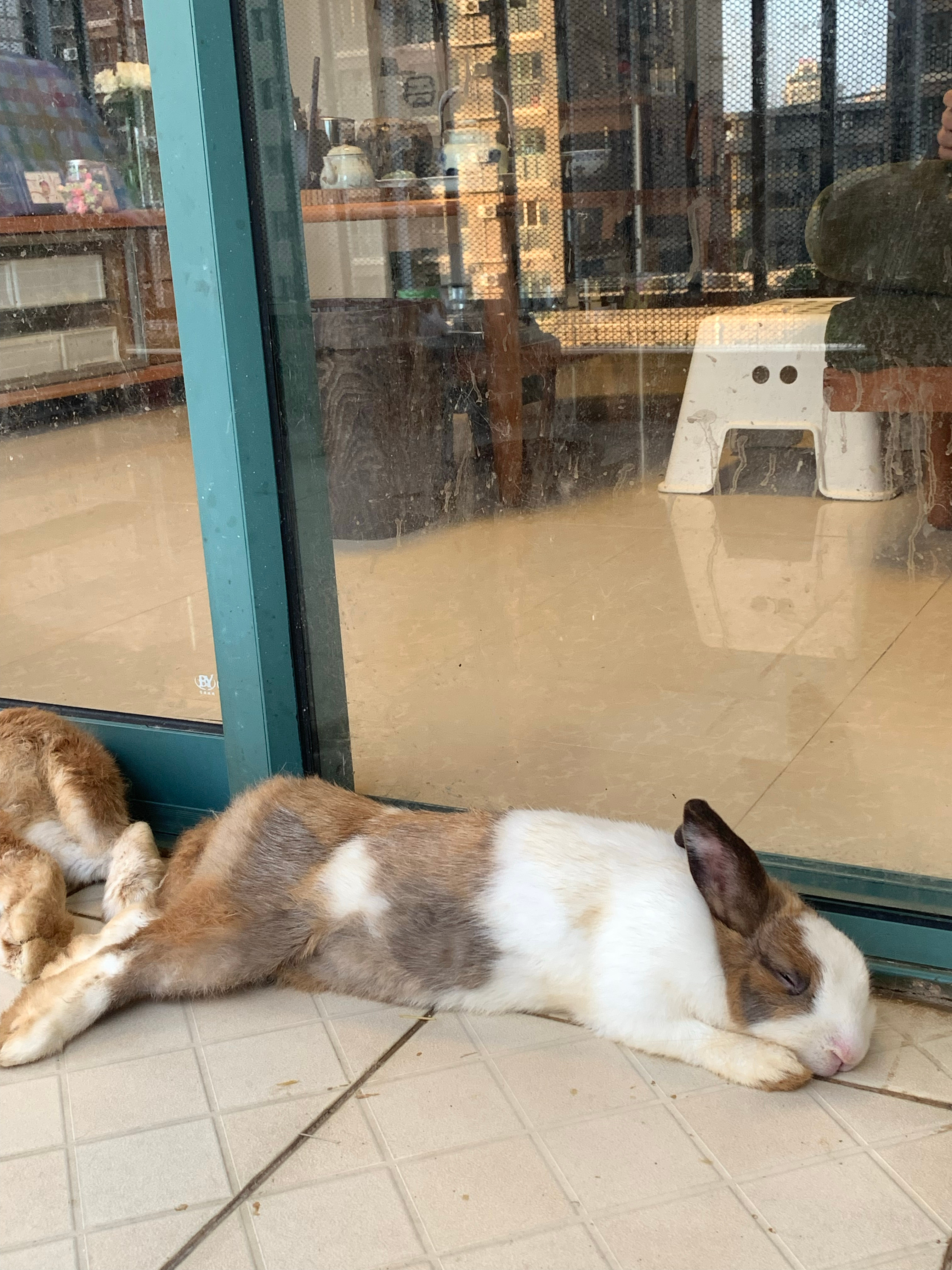 妈妈就爱看宝宝睡觉💤了