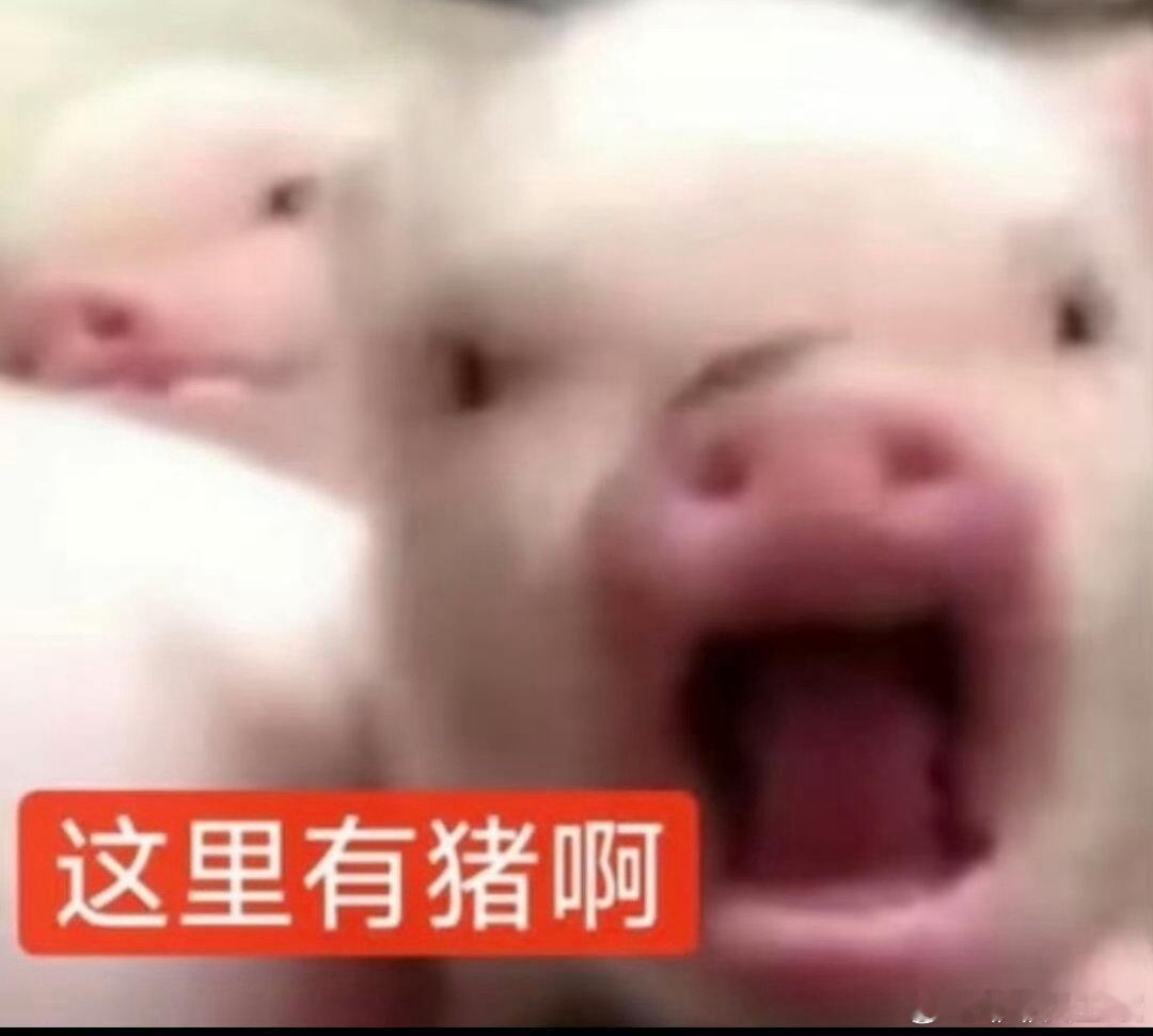 豆包比deepseek好用，deepseek只会错了之后和我道歉​