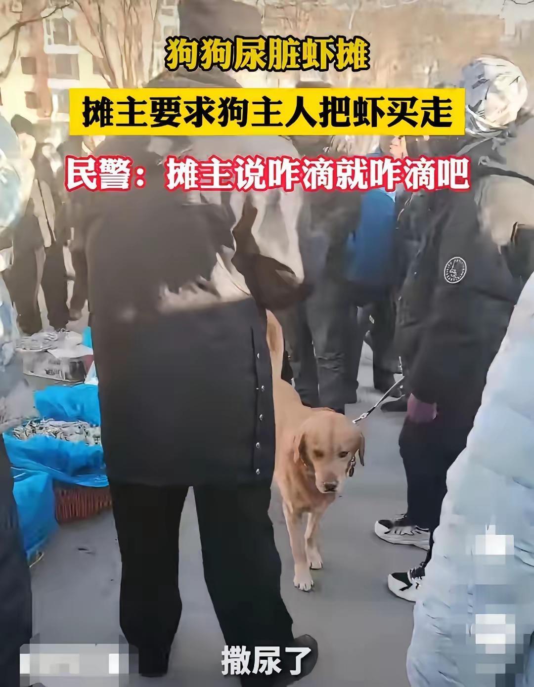 大清早逛早市遛狗没牵绳，狗尿直接溅到卖虾的摊位上！摊主一句话当场让全场炸开了锅.