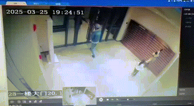 女娃儿也这么皮