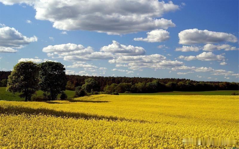 说有农民不懂去申请补贴，这话我信。从我接触过的一些农村来的人可以看出，有些人智商