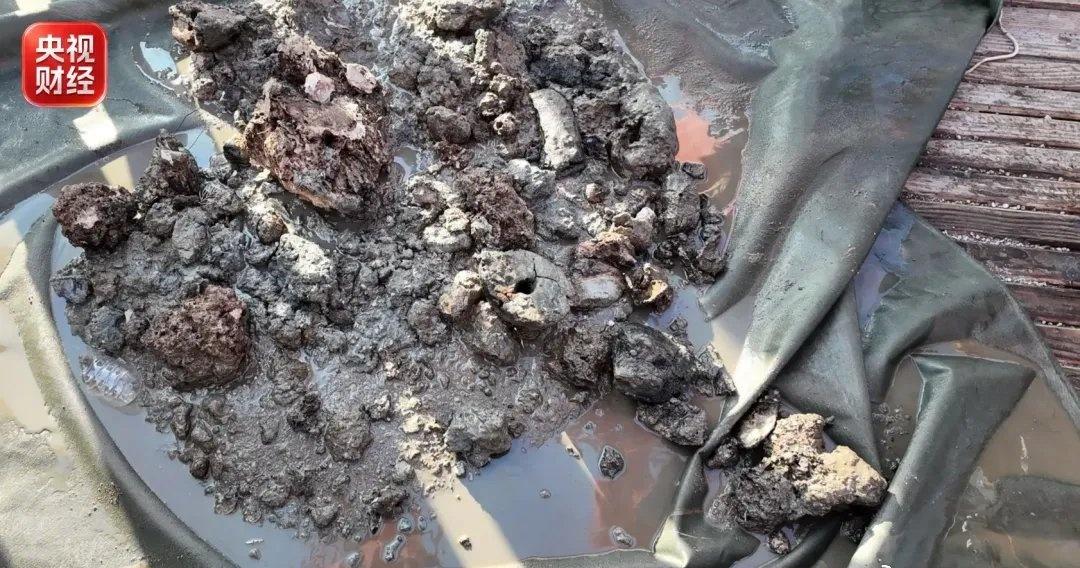 我国找矿，有重大突破近日，由清华大学、中国地质调查局青岛海洋地质研究所、上