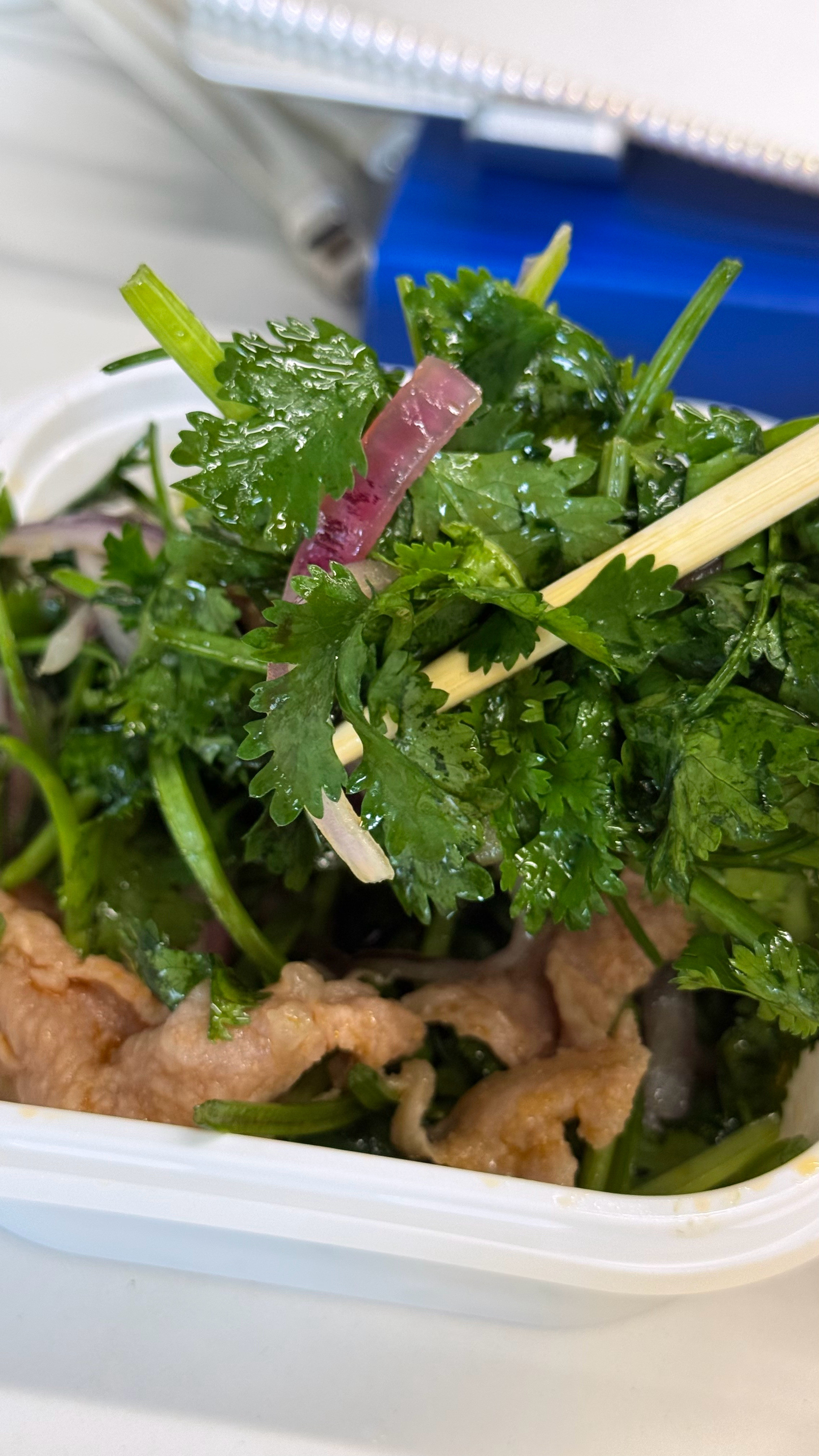 太良心了点的香菜拌香菜上面居然还有几片牛肉哎[红脸笑]​​​