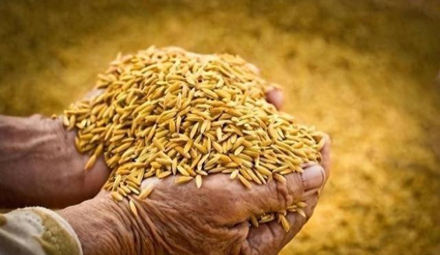 五大常任理事国的粮食自给率情况如下：第一，法国的粮食自给率高达329%。第二，俄
