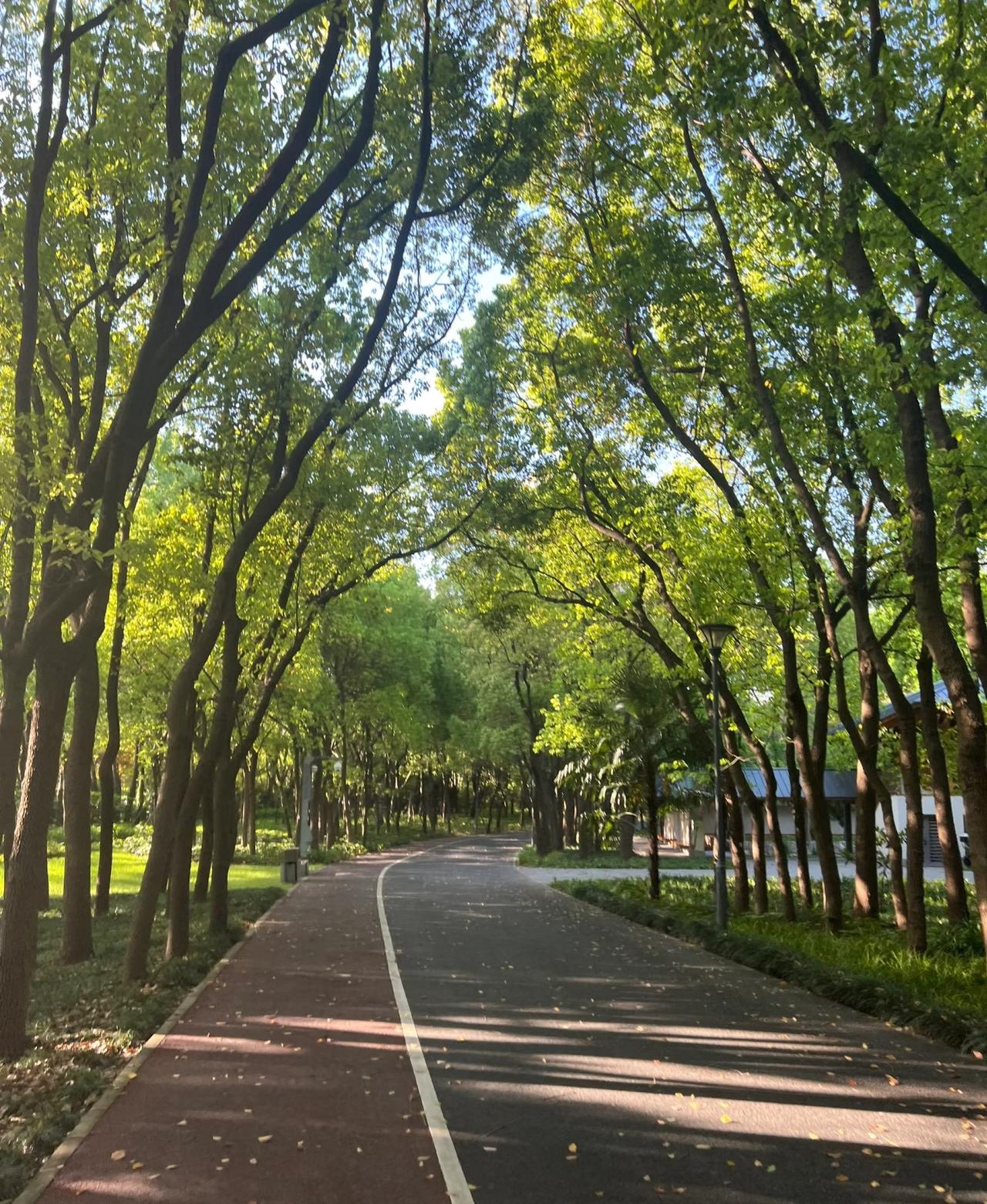 跑步不要凭借一时兴起就去跑，要好好想一想，能不能真正的坚持下去。这样才能获得长期