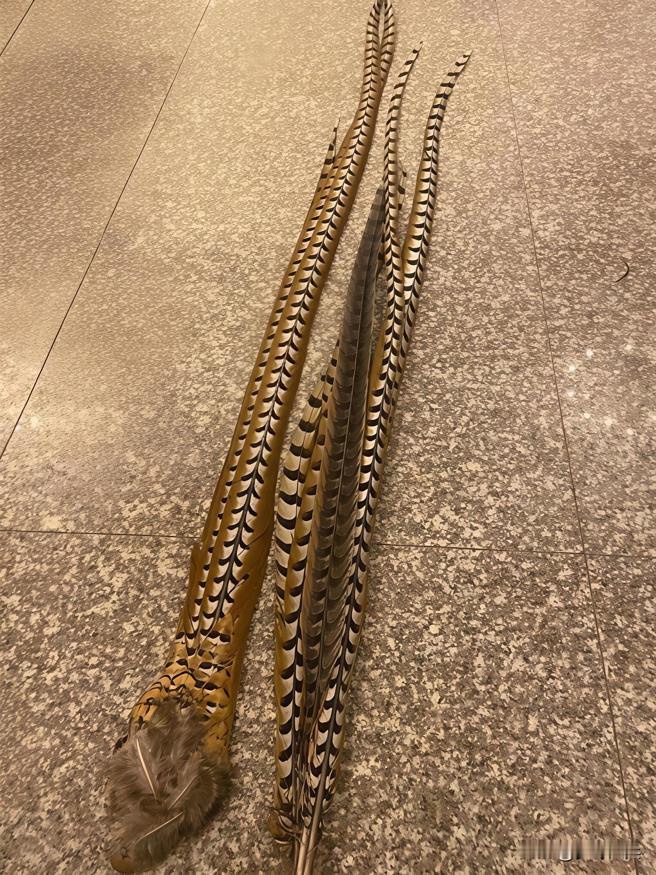 这是什么毛？问了70多人没有一个人认识的，这东西非常稀少，有的老人一辈子还没见过