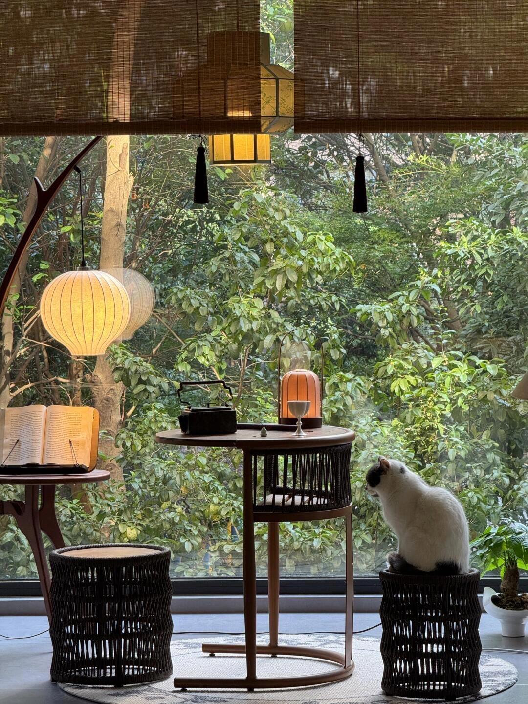 买房那阵子，亲友都劝我：二楼别碰，我也知道，一二楼在老小区是老大难——采光差、潮