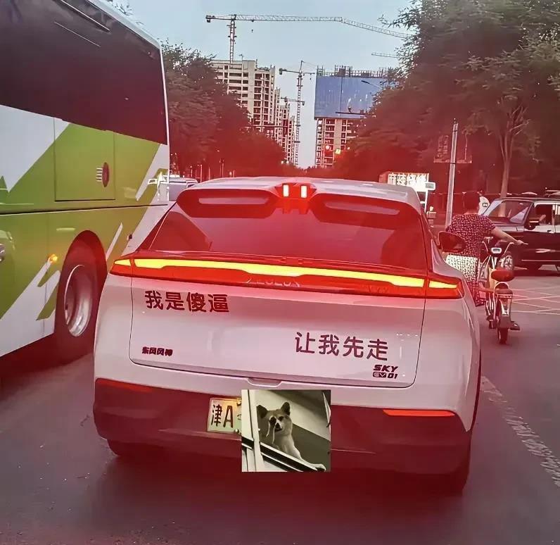 如果你开车的时候遇到这辆车，你会让吗？