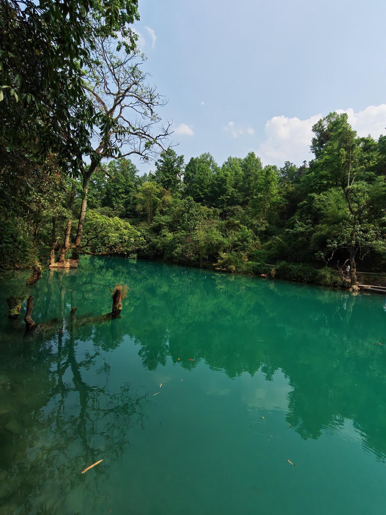 有人说：生理上能把男人喂饱的女人，是好女人；饭桌上能让男人吃好的女人，是好女