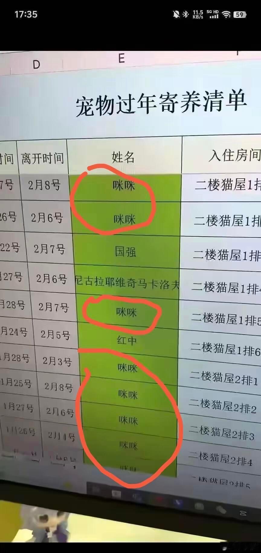 给猫取名字需要上点心了