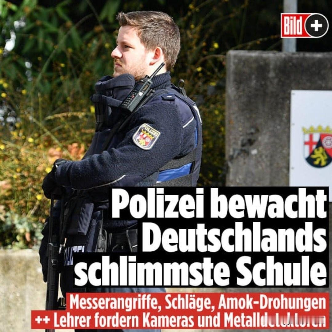 德国版铃兰高中？德国路德维希港一所学校单是消防队就出动了100次，118次案