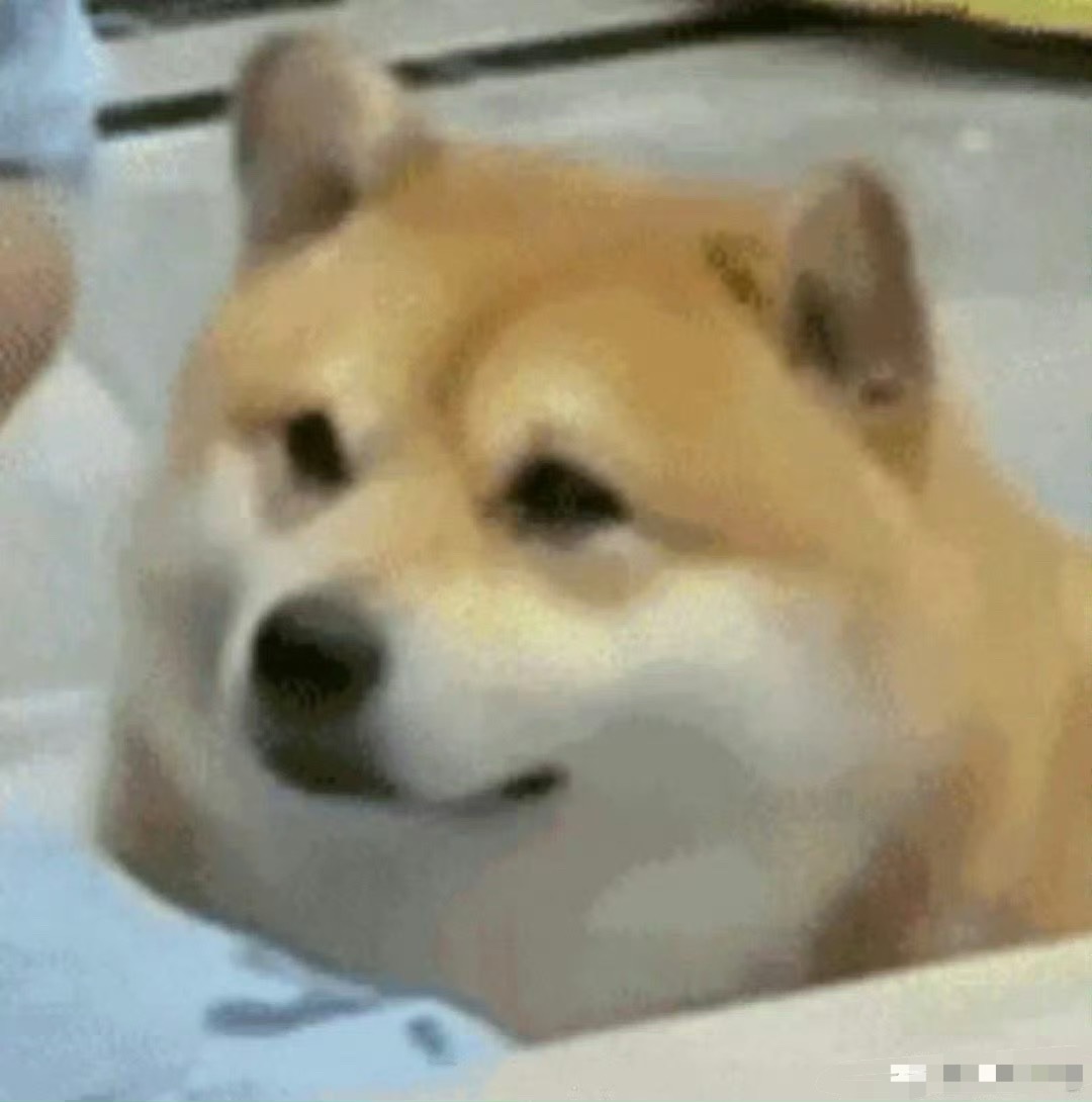 都相亲了，怎么有的男的还装傻呢？