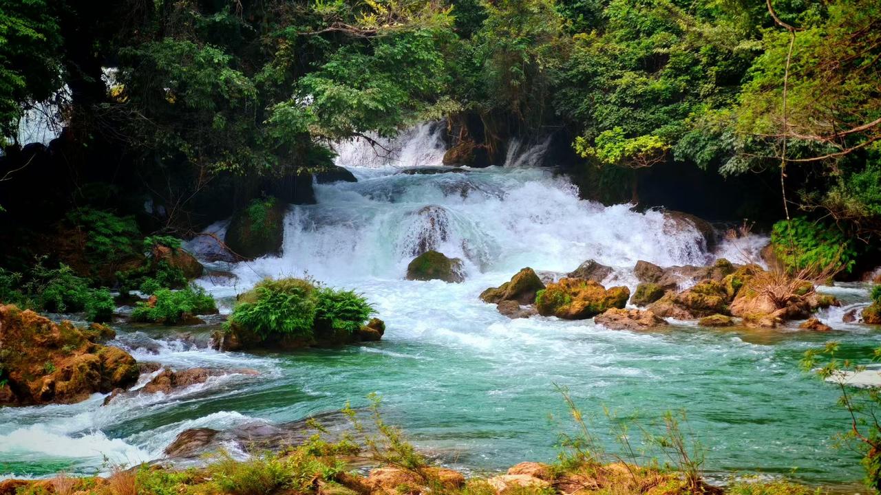 🌊森林把所有的绿都揉进溪水里，瀑布是从山的心事里奔涌而出的白。💚流水撞碎在