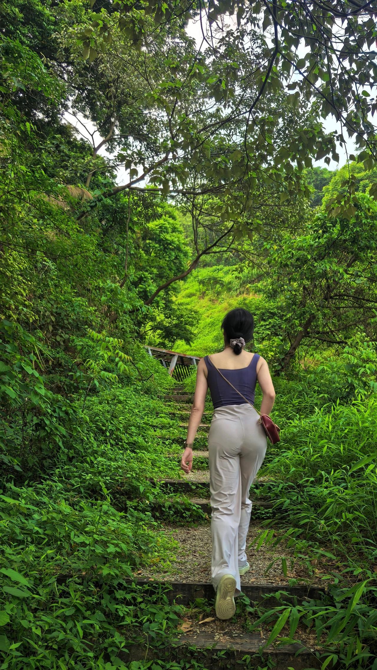 满目葱茏的山林间，清幽石阶蜿蜒向绿意深处。女孩背影轻缓拾级而上，藏蓝背心搭配浅灰