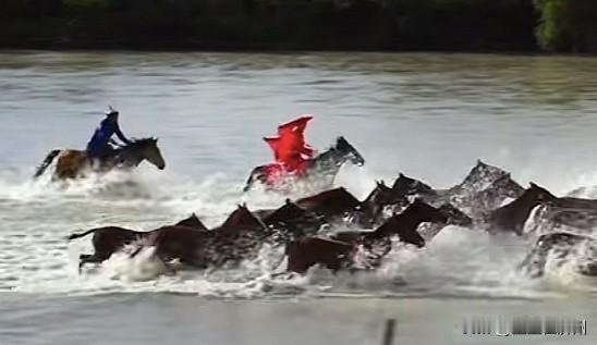 很遗憾，贺娇龙已被官宣殉职了，更让人揪心的是，官方通报中提到……她是因为