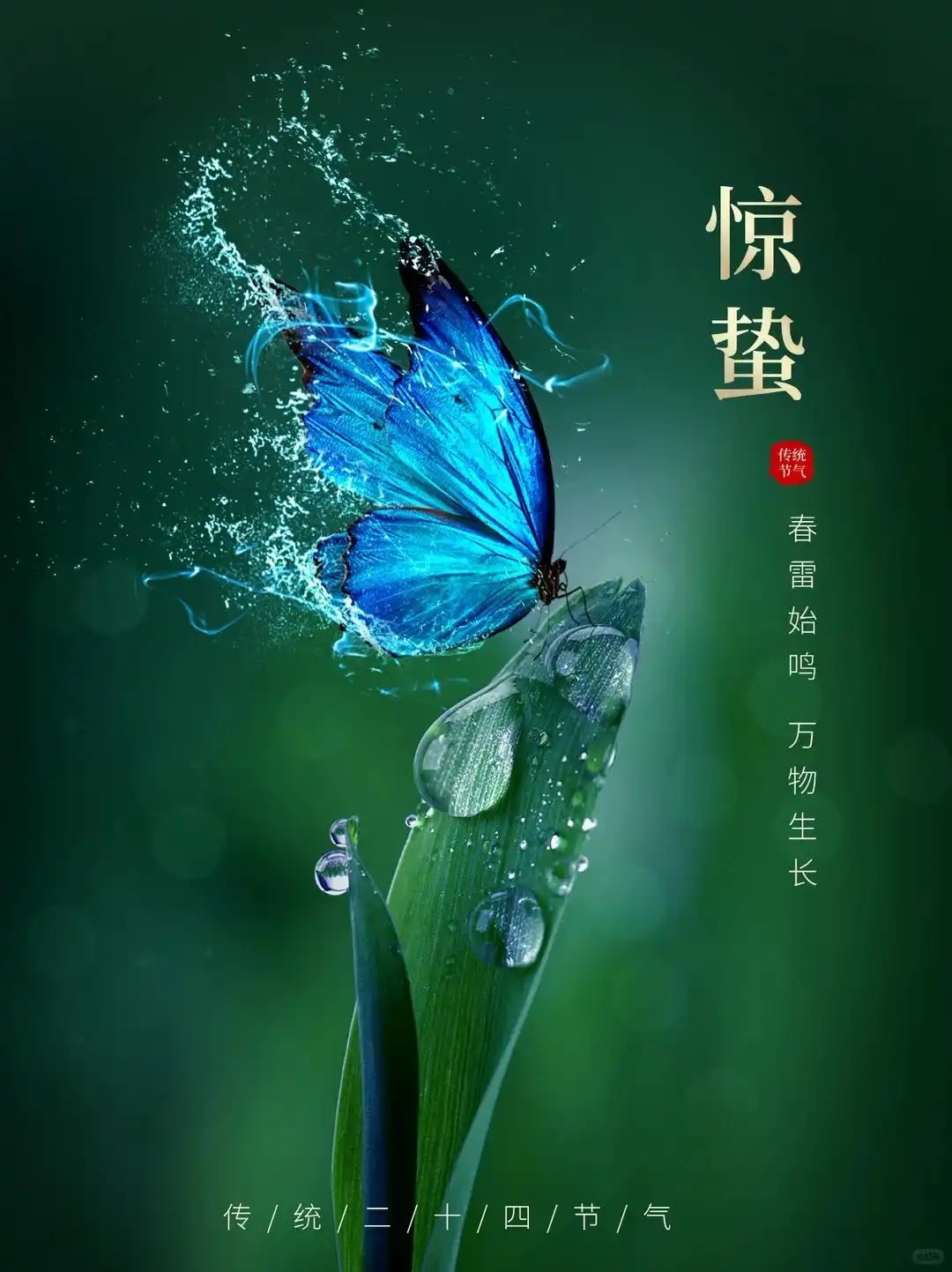 惊蛰·中医养生核心1.顺时重点：疏肝气，不生气惊蛰对应肝木生发，最忌：•