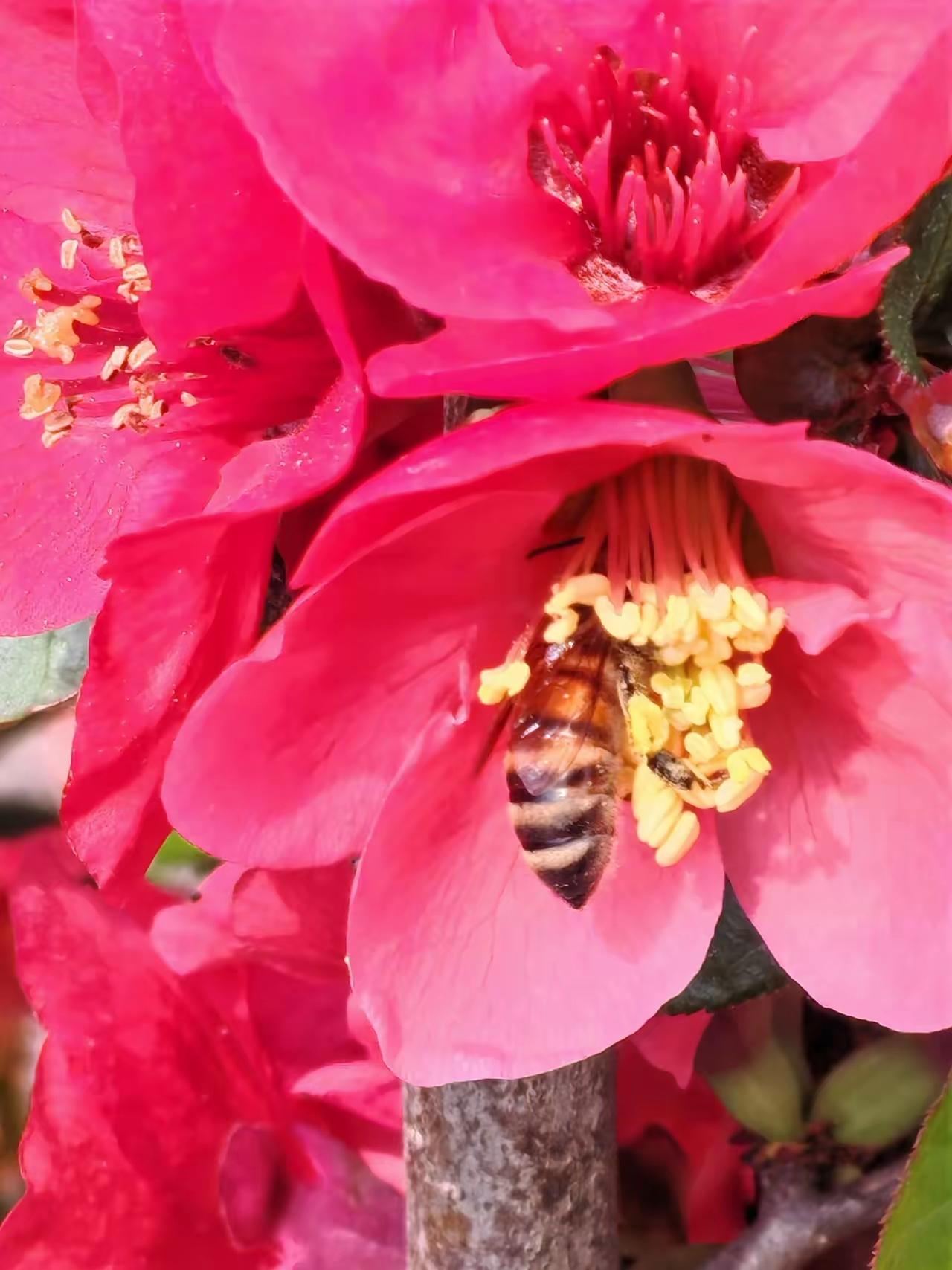 有的人做一事能学会几件事，对问题分析得头头是道，与别人打一次交道，便能摸清对方的