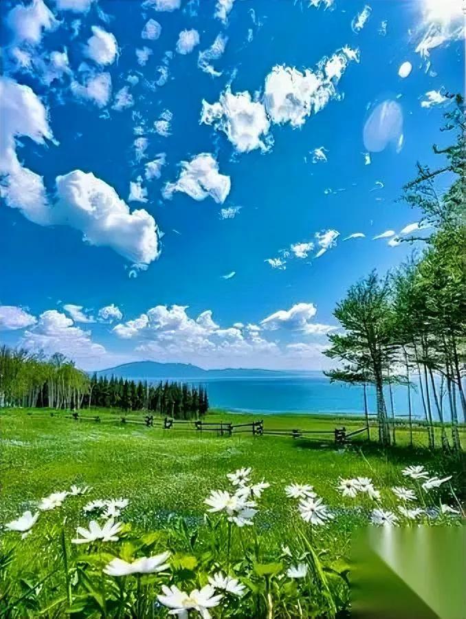 人老了，最怕看清一件事你疼了二十年的孩子心里的C位从来不是你上周我妈