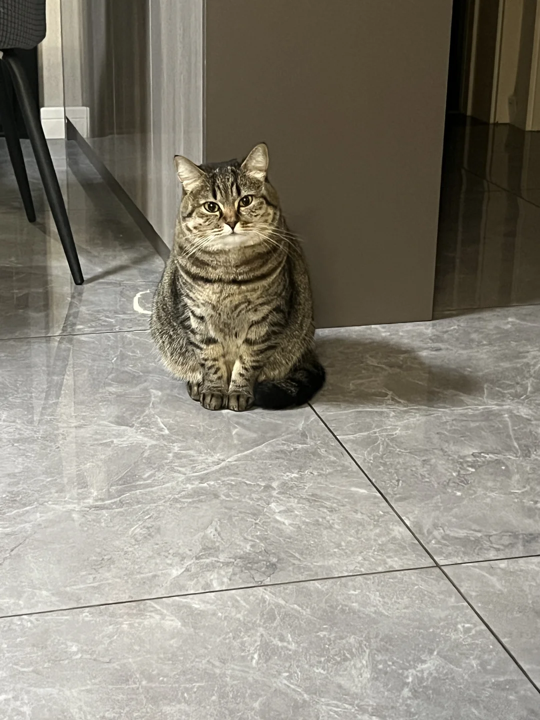 糯糯叽叽的巧克力大福