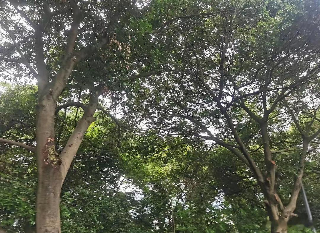 查理·芒格关于耐心核心观点一、经典金句1. 大钱不在频繁买卖