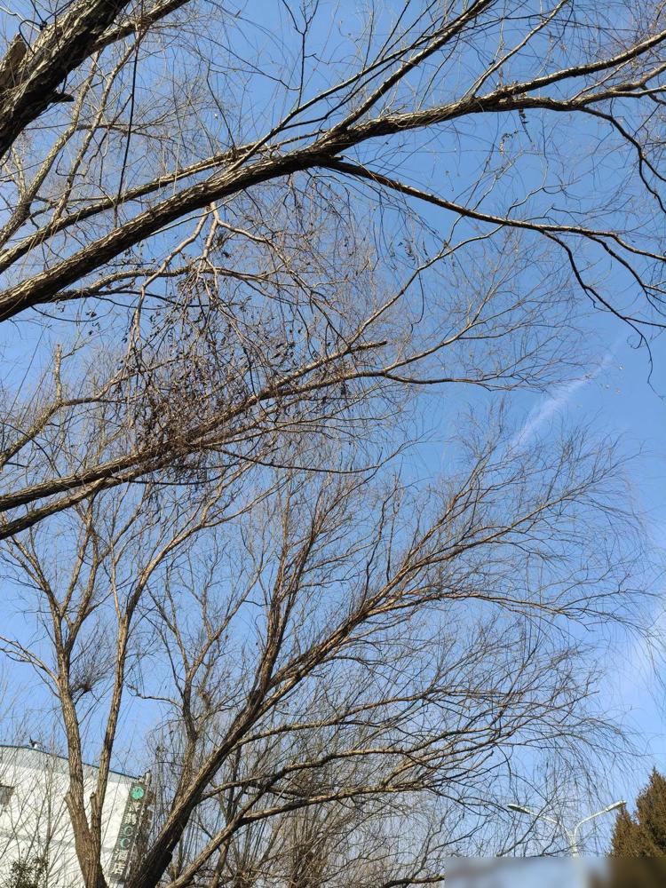 这报应来的太快了吧！好友说，她的一个朋友，两囗子是开水果店的，这段时间，丈夫非要