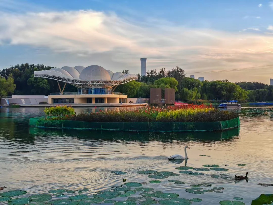 🔥房地产炸锅!商品房/保障房彻底拆家‼️
