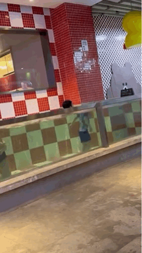 道理我是懂的呀可这也太诡异了