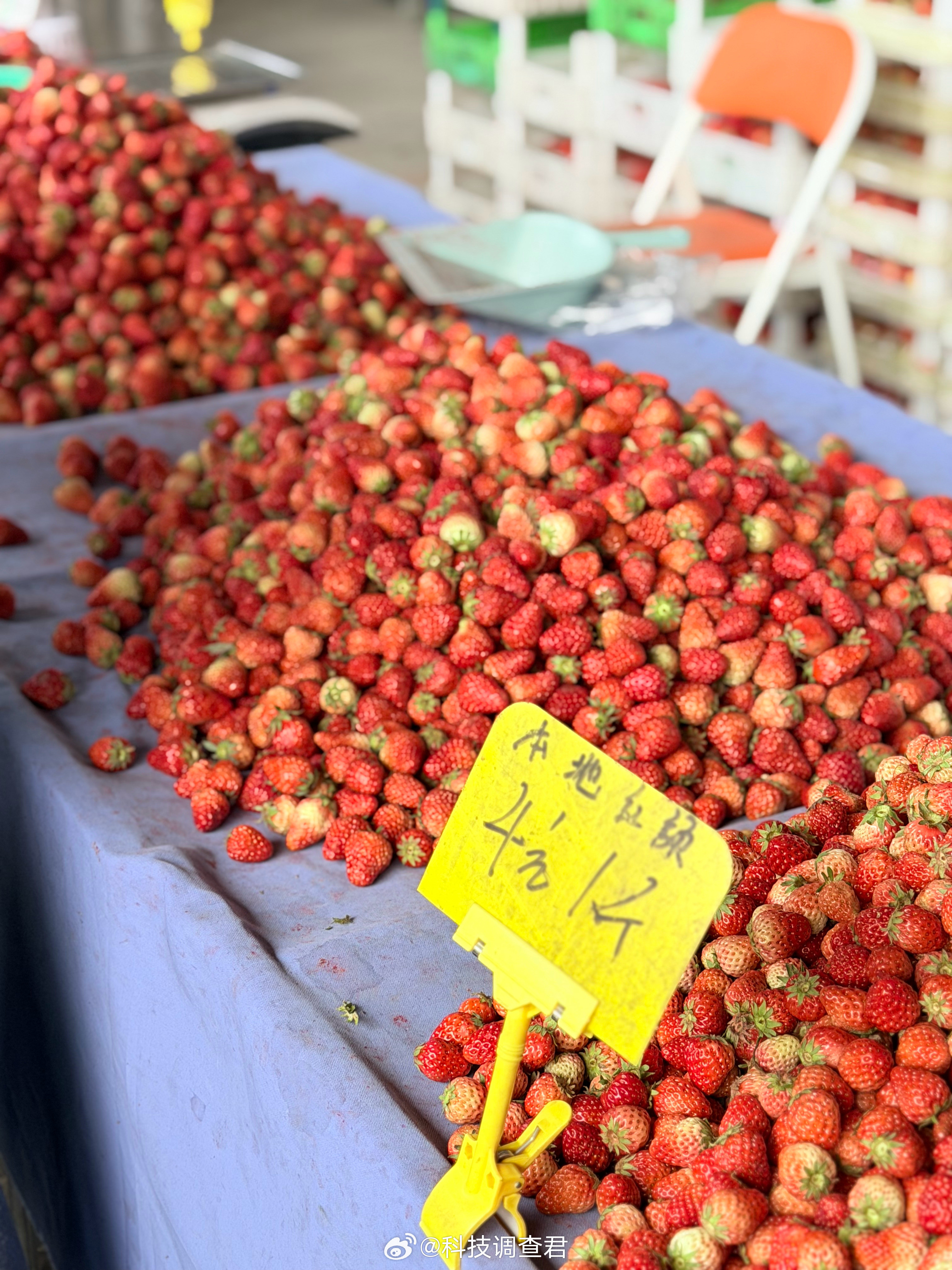 本地草莓4块一斤个头小点但是甜度也够了～