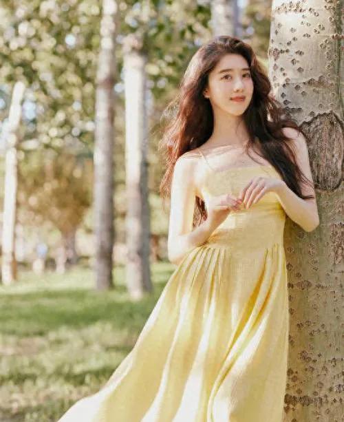 李凯馨辱华风波重创《赴山海》：55家官媒下场“封杀”引行业地震2025年5月，