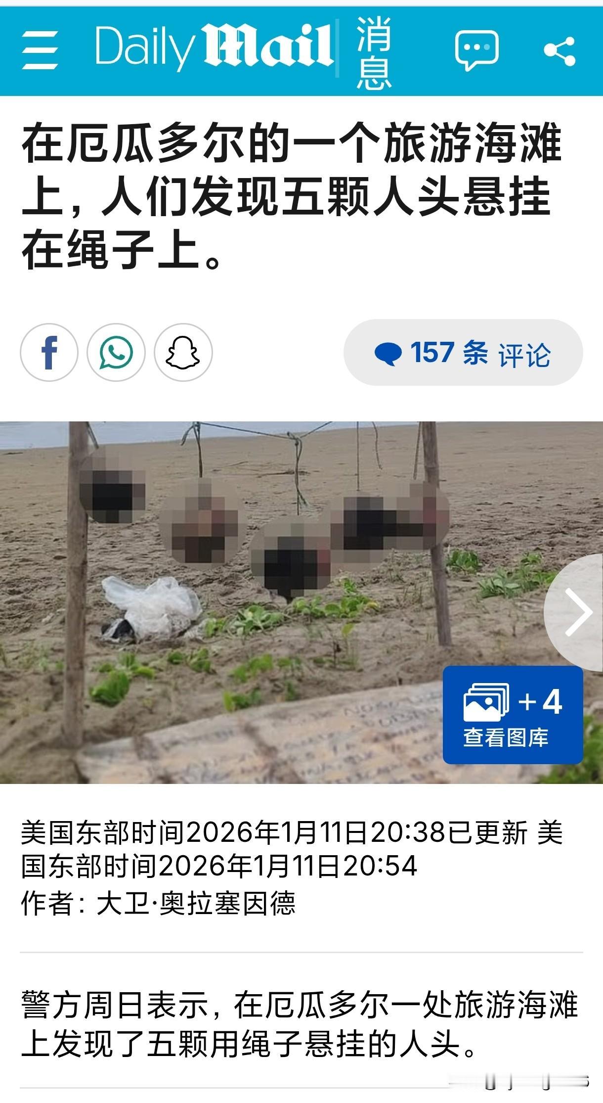 糖霜苹果[捂眼睛]